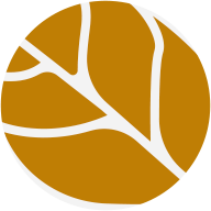 &Iacute;cone f&oacute;rmula natural