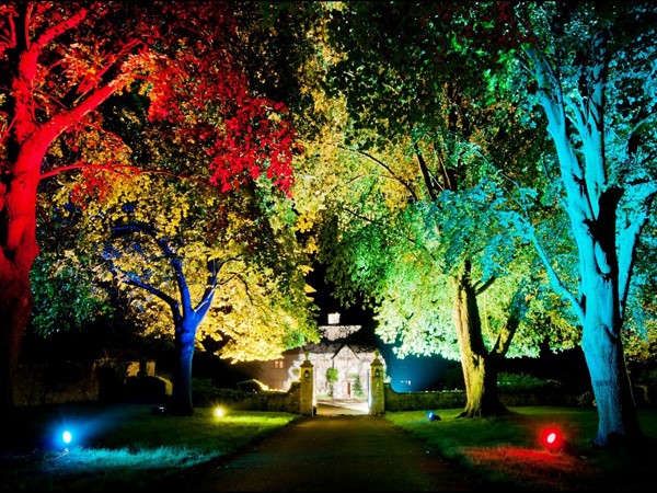LAMPARA FOCO DICRO LED COLORES LUCES JARDIN