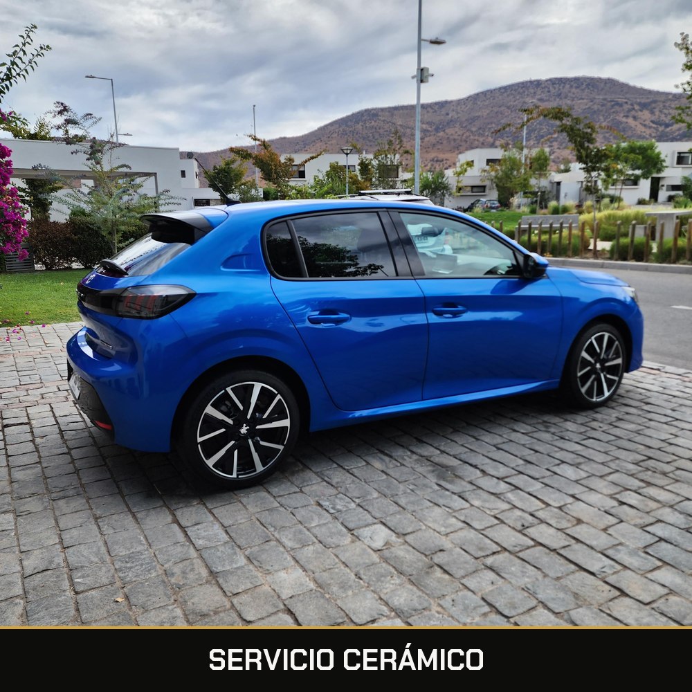 Servicio Cerámico