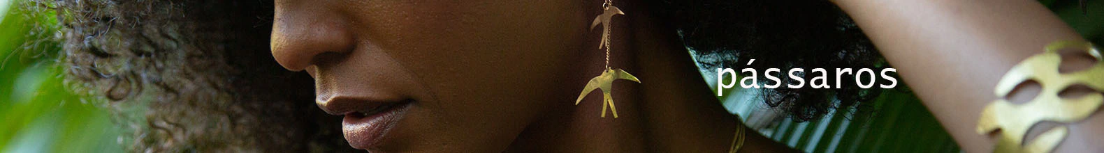 Banner da categoria Pássaros