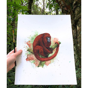Ilustración a la acuarela de carayá rojo, por Déborah Viccini