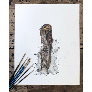Ilustración a la acuarela de urutaú, por Déborah Viccini