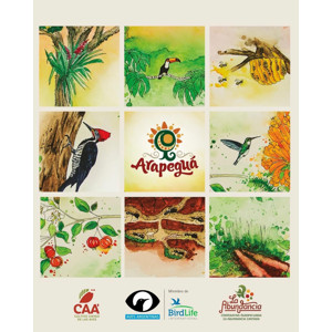 Ilustraciones en acuarela de Déborah Viccini para yerba mate Arapeguá