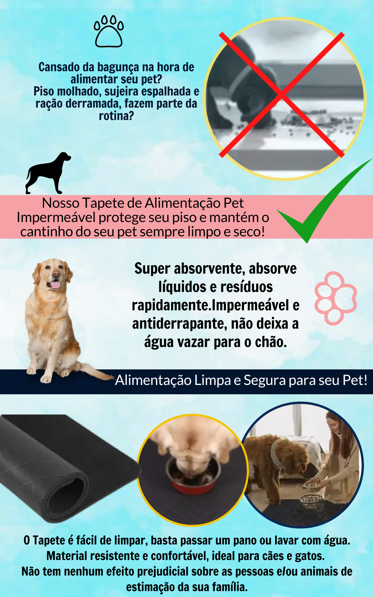tapete22