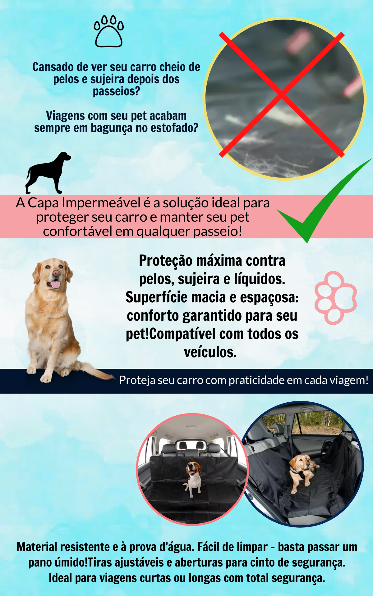 Capa2