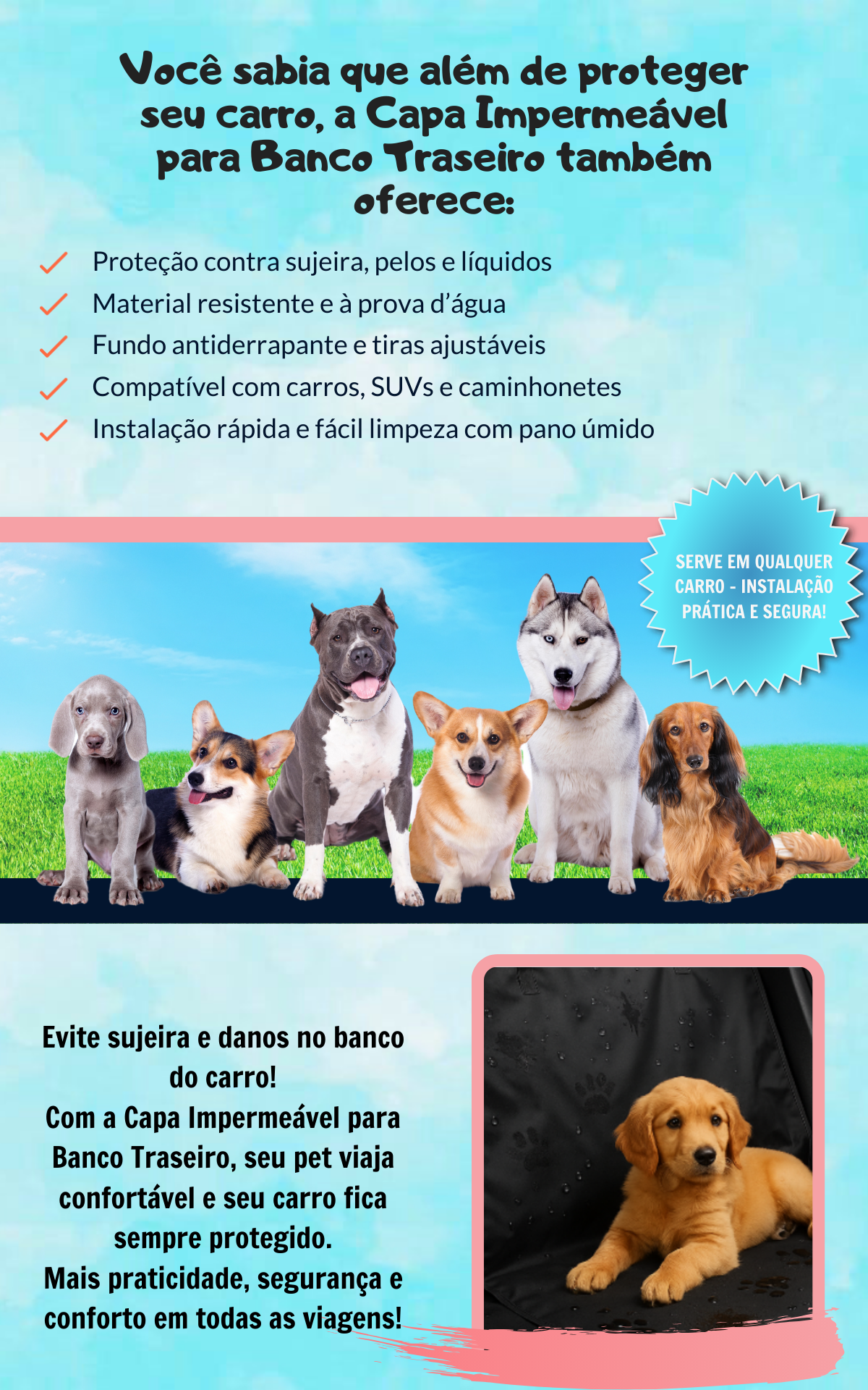 capa3