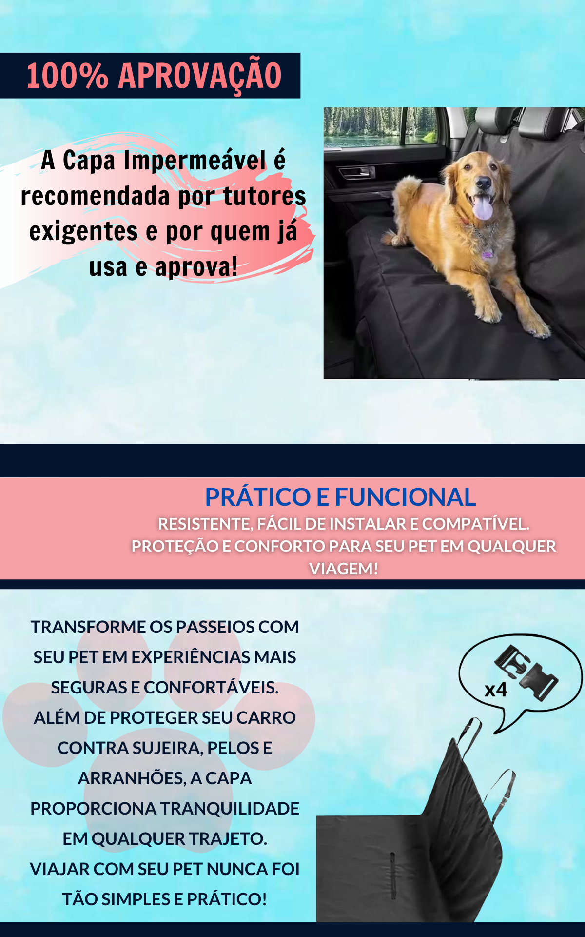 capa6