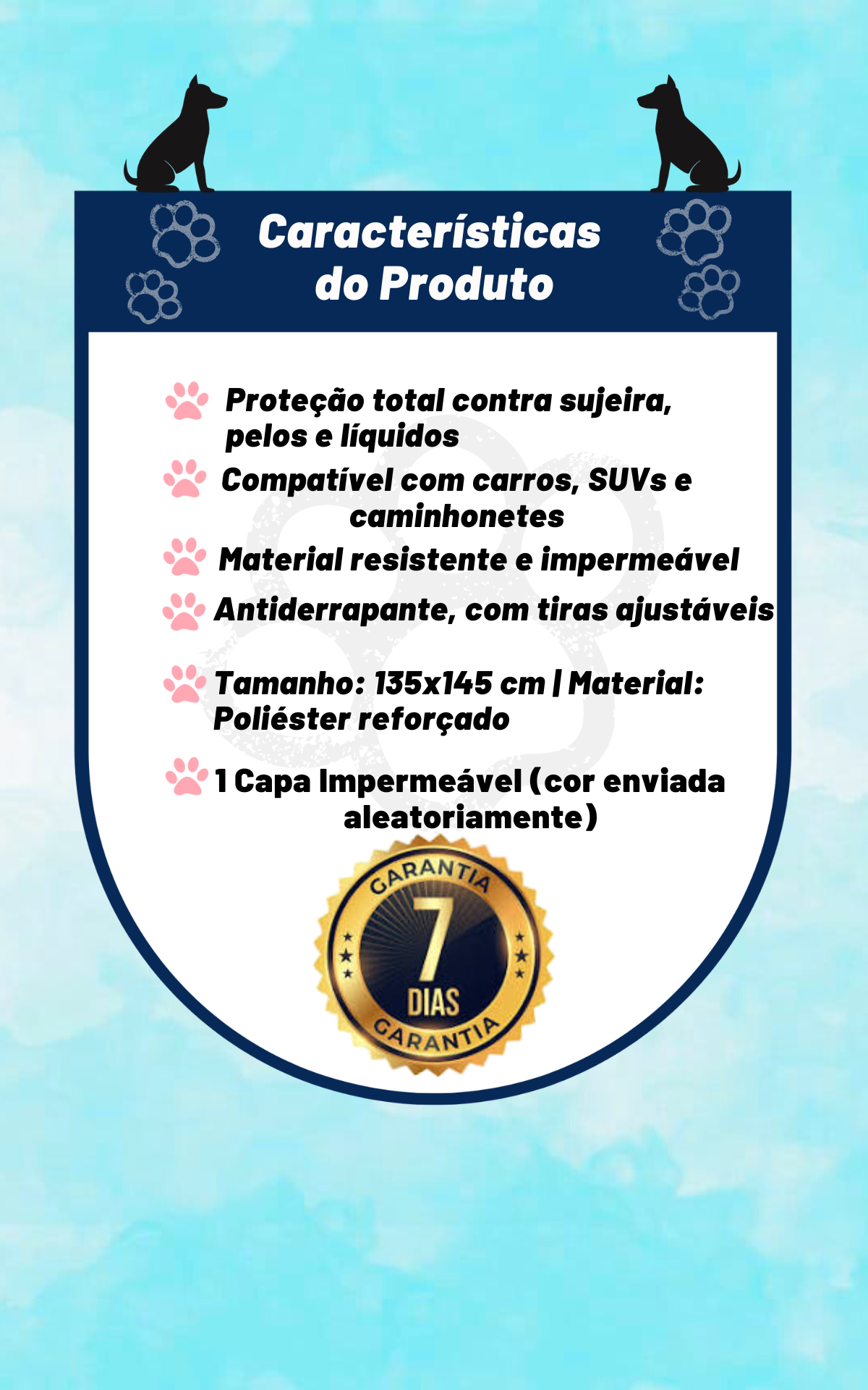 capa8