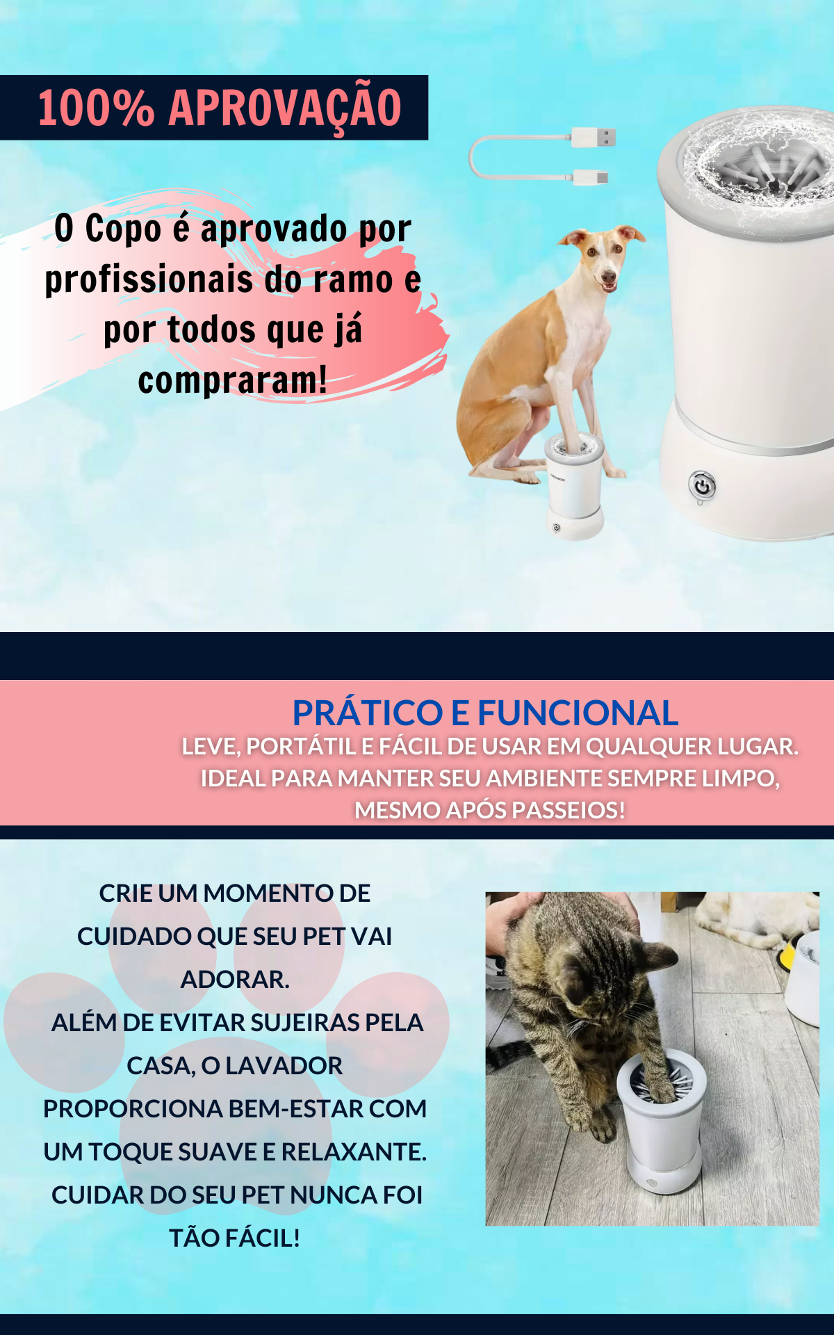 copo6