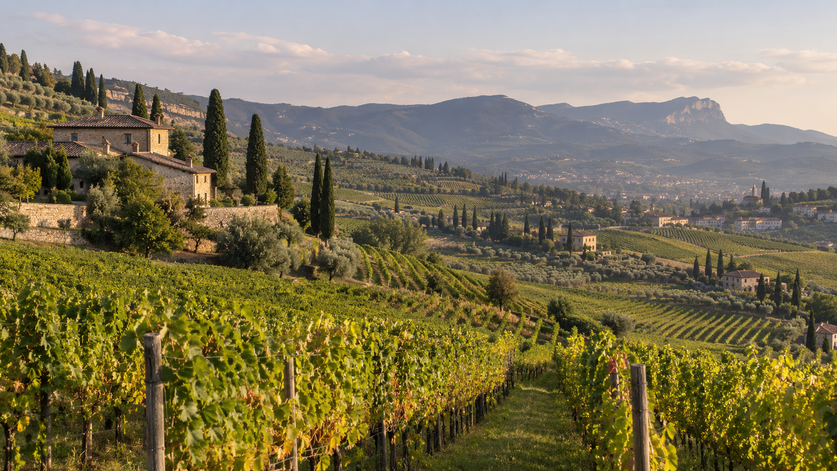 imagem editorial dos vinhedos e colinas de Valpolicella