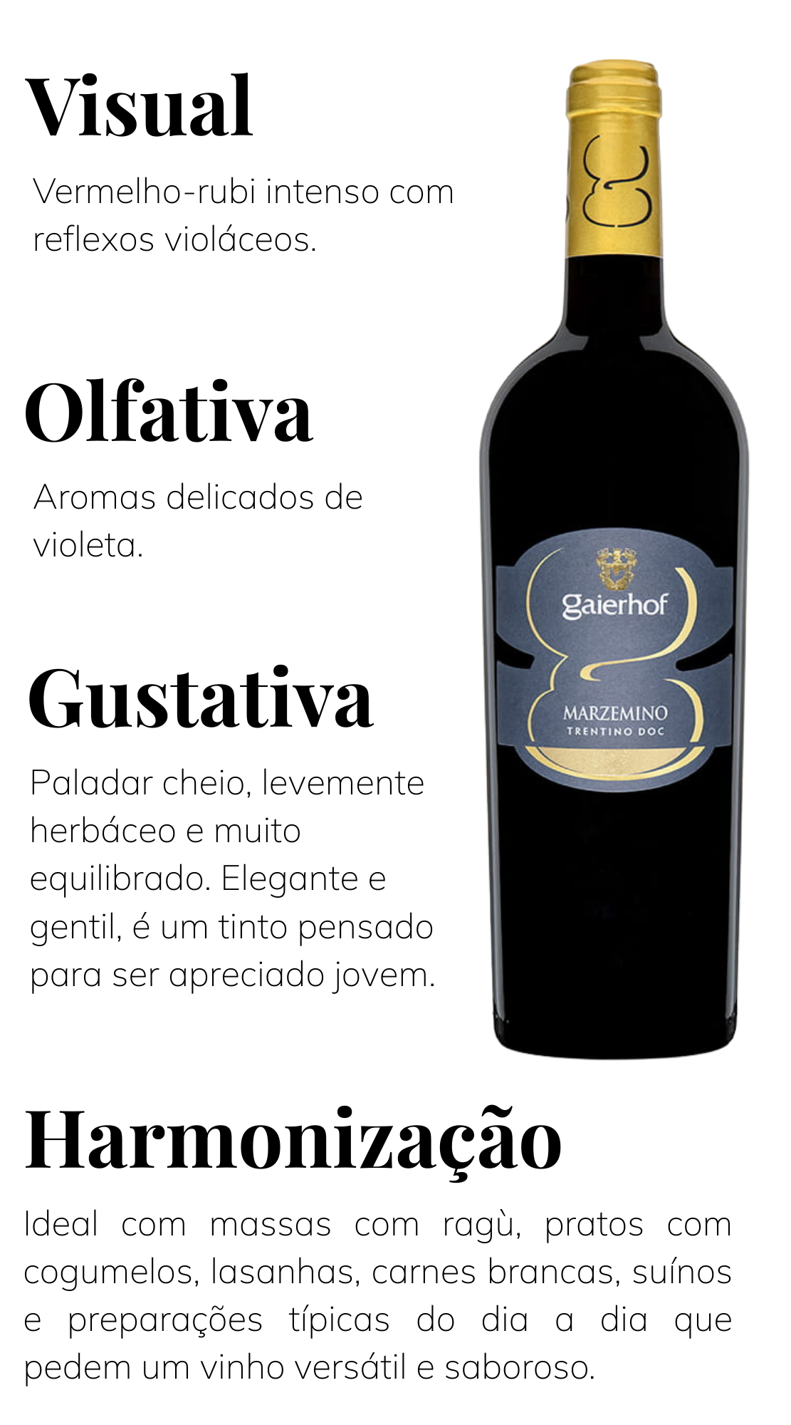 Garrafa original do Marzemino Trentino DOC Gaierhof: c&aacute;psula dourada e r&oacute;tulo cinza e dourado.