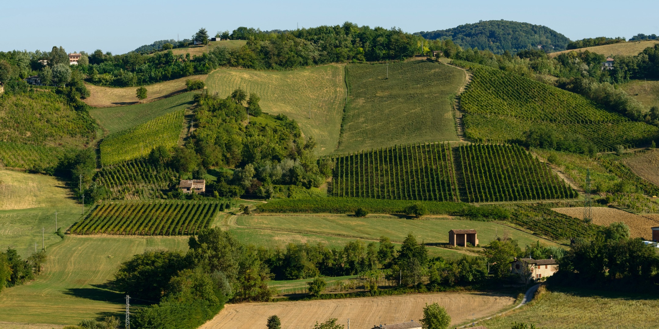 Paisagem das colinas de Piacenza, na Emilia-Romagna, com vinhedos e relevo suave.