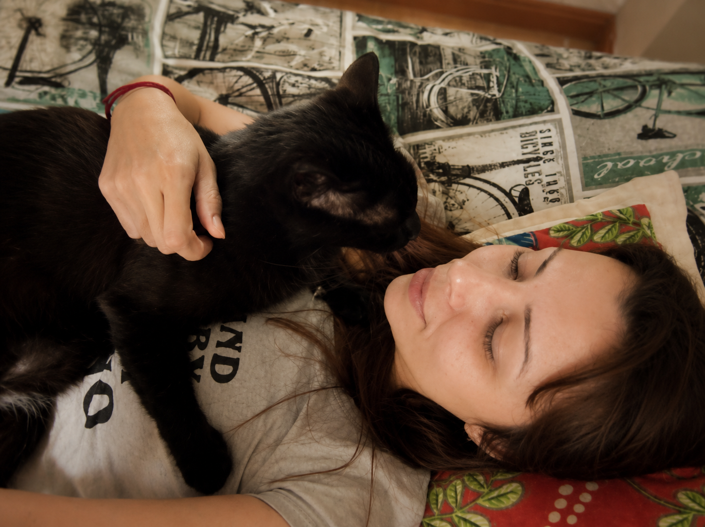 Patrícia e o gato