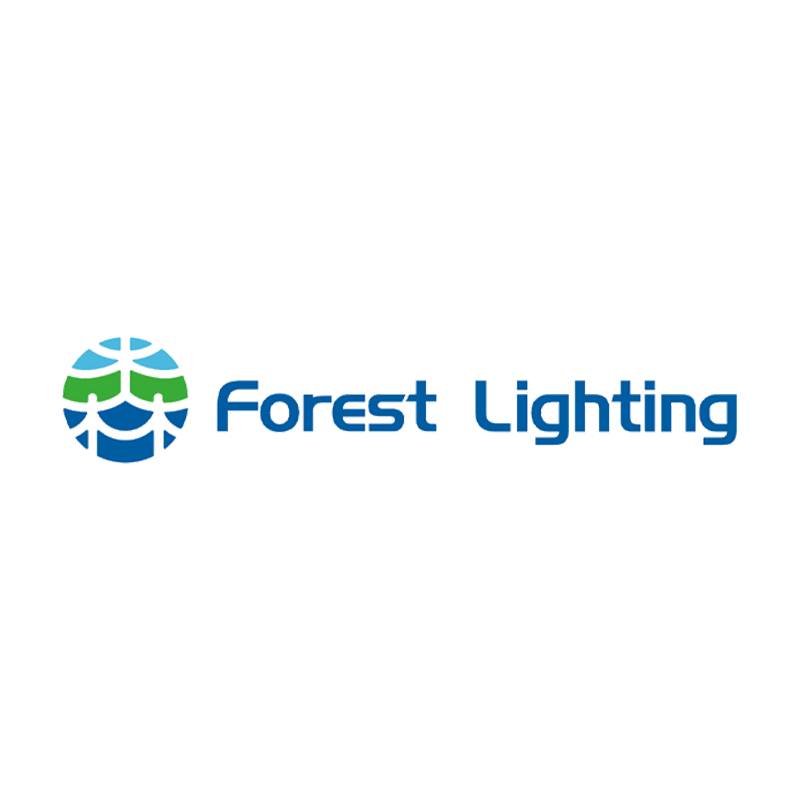Forest Lighting