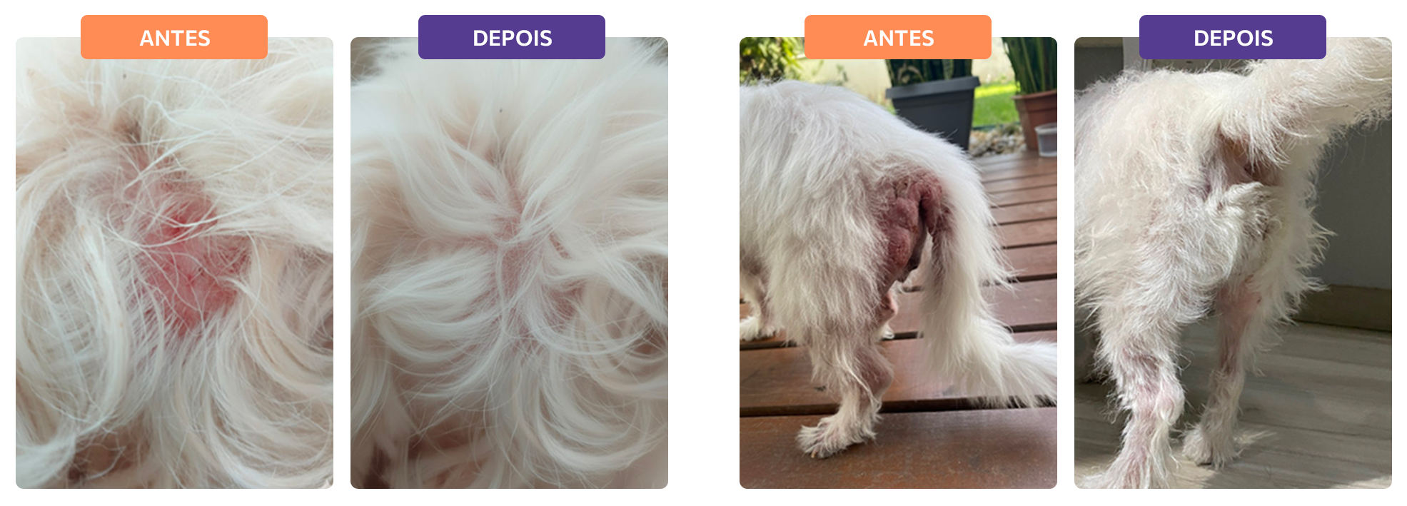 Resultados que aquecem o coração