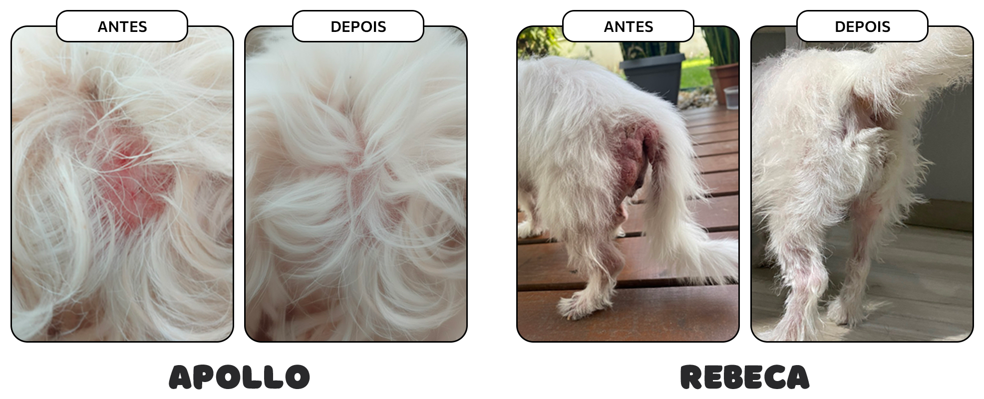 Resultados que aquecem o coração