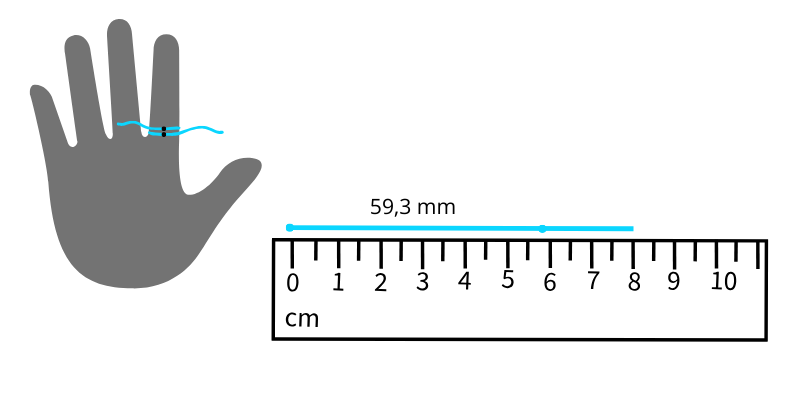 Método 2: Medir el diámetro interno de un anillo existente con una regla.