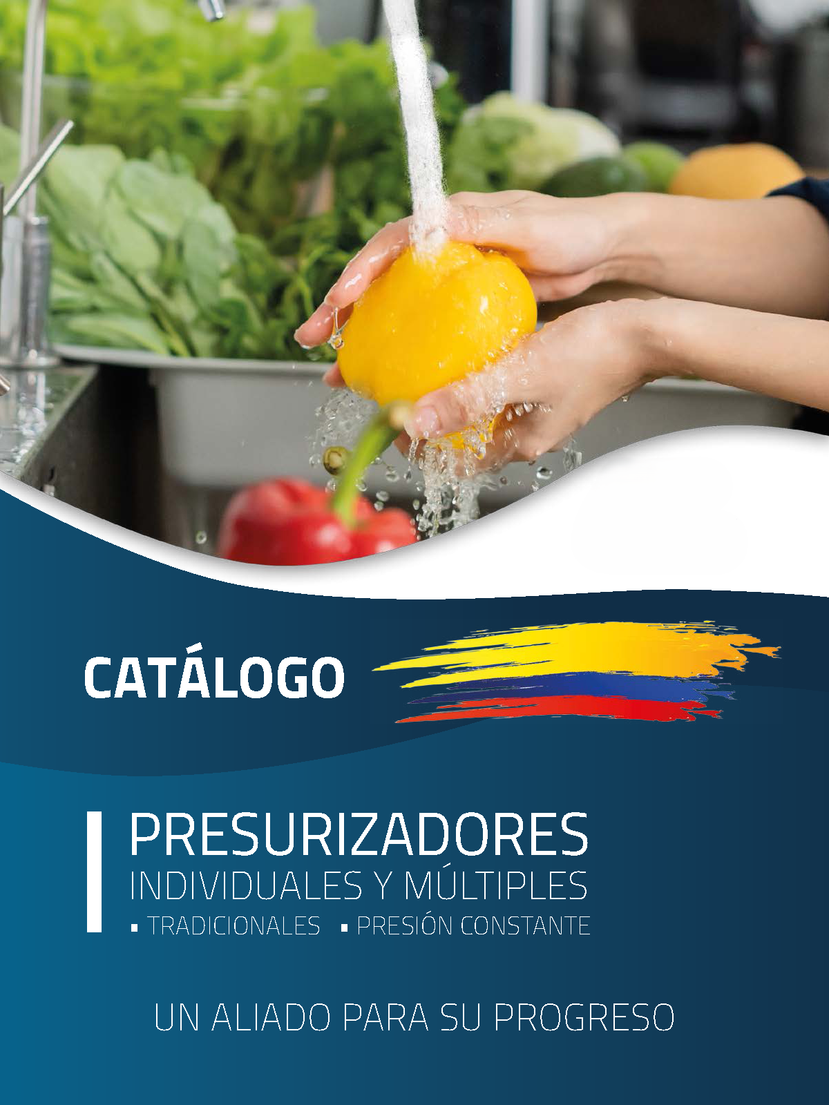 Catálogo 6