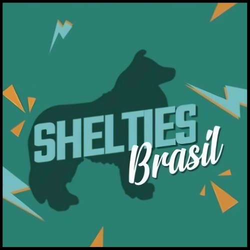Sheltie Brasil