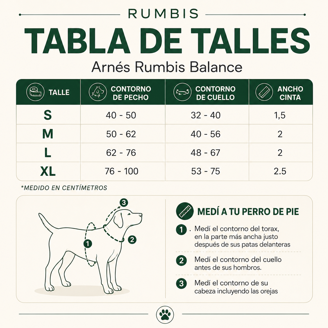 Talles Rumbis Balance