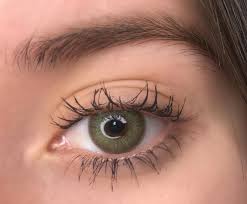 FreshLady Wildcat Green tono real verde oliva