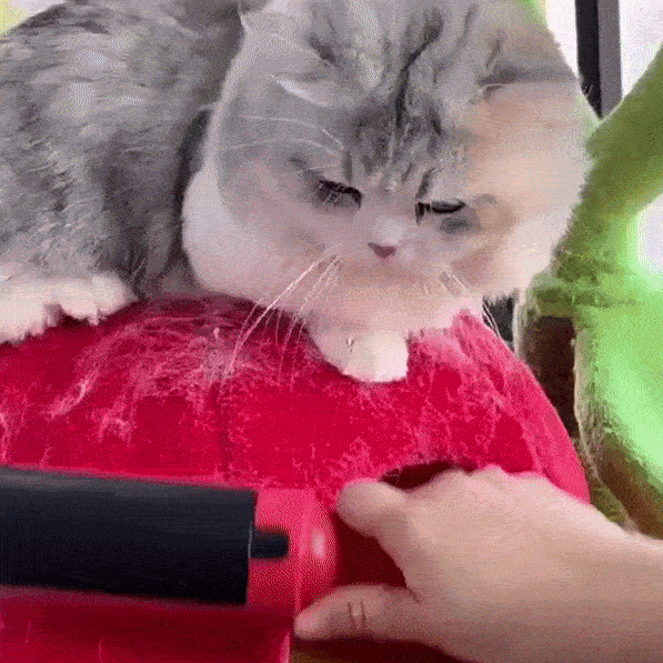 Escova Removedora de Pelos Pet Reutilizável | Para Sofá, Roupas e Tapetes