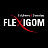 Texto

El contenido generado por IA puede ser incorrecto.