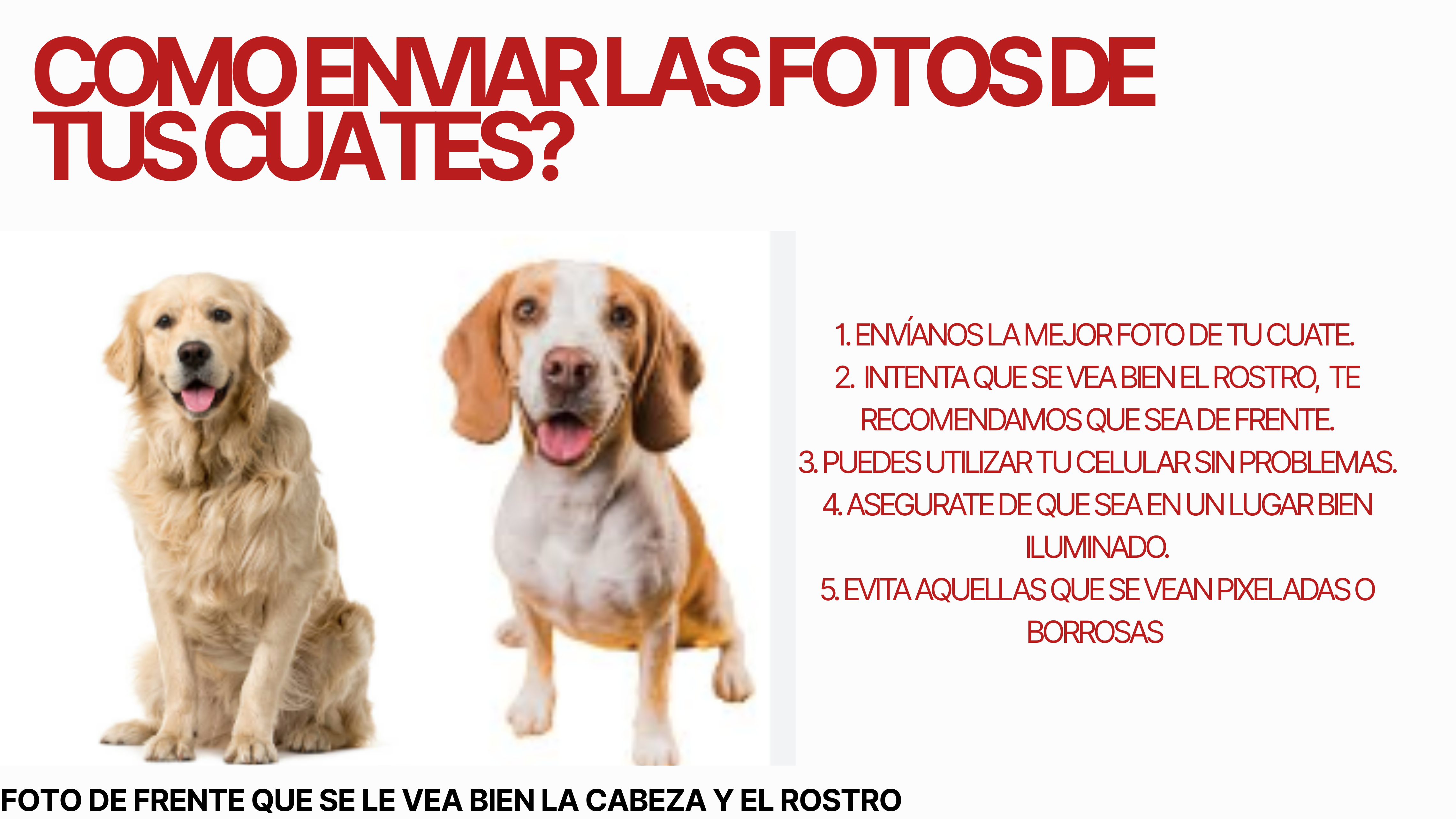 Como enviar la foto de tu cuate?