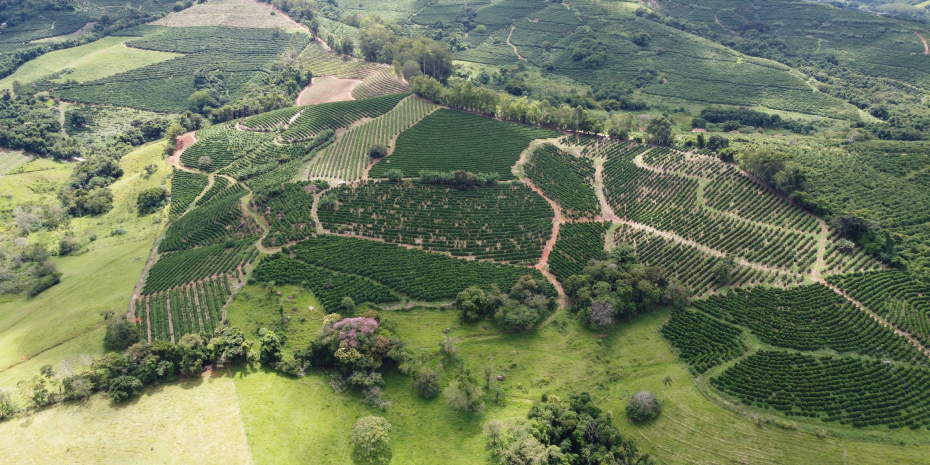 município de Muzambinho- MG.