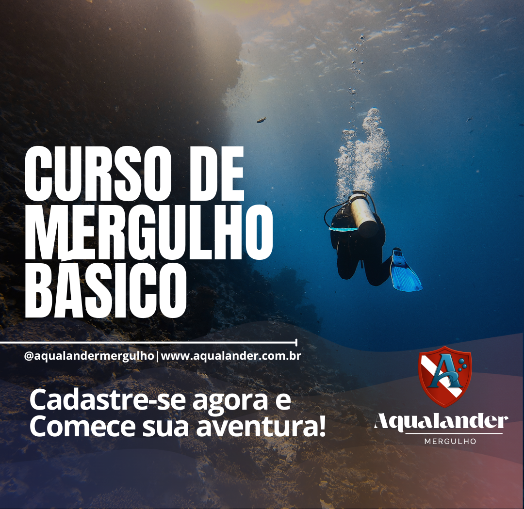 Curso de Mergulho Básico