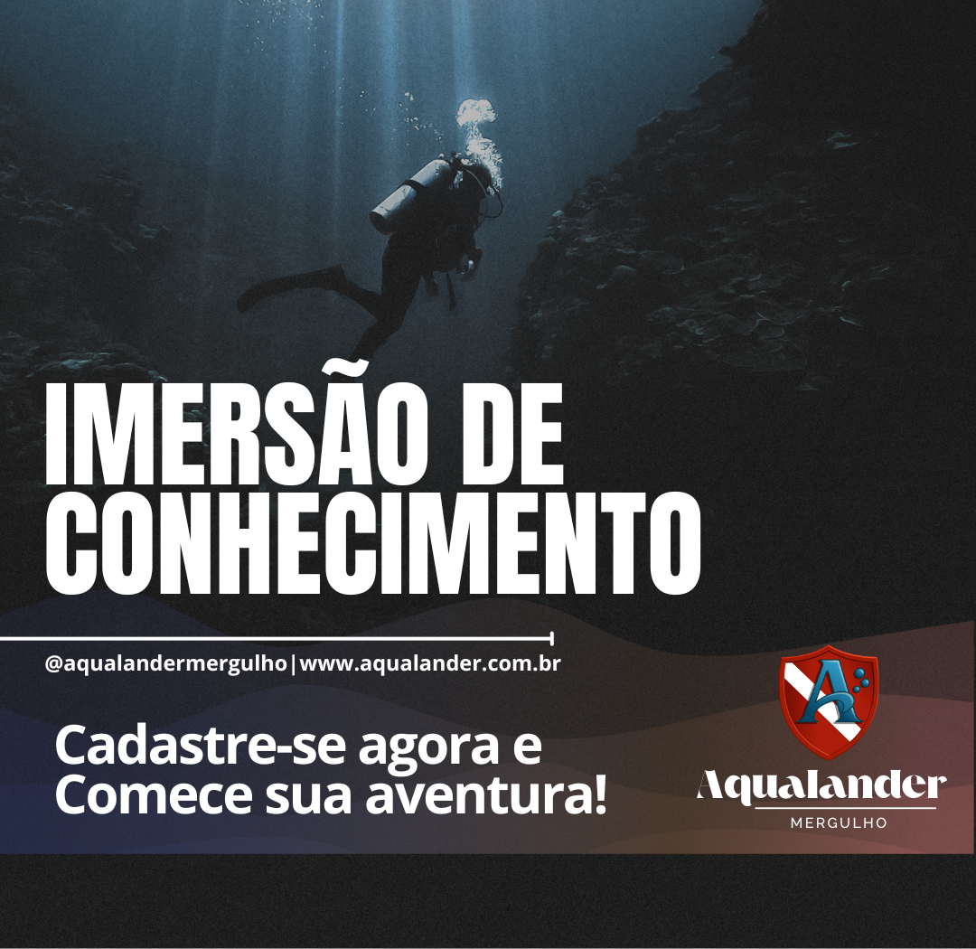 Imagem do curso