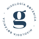 Mi Gin Logo