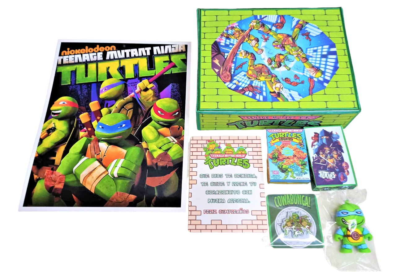 BOX tortugas