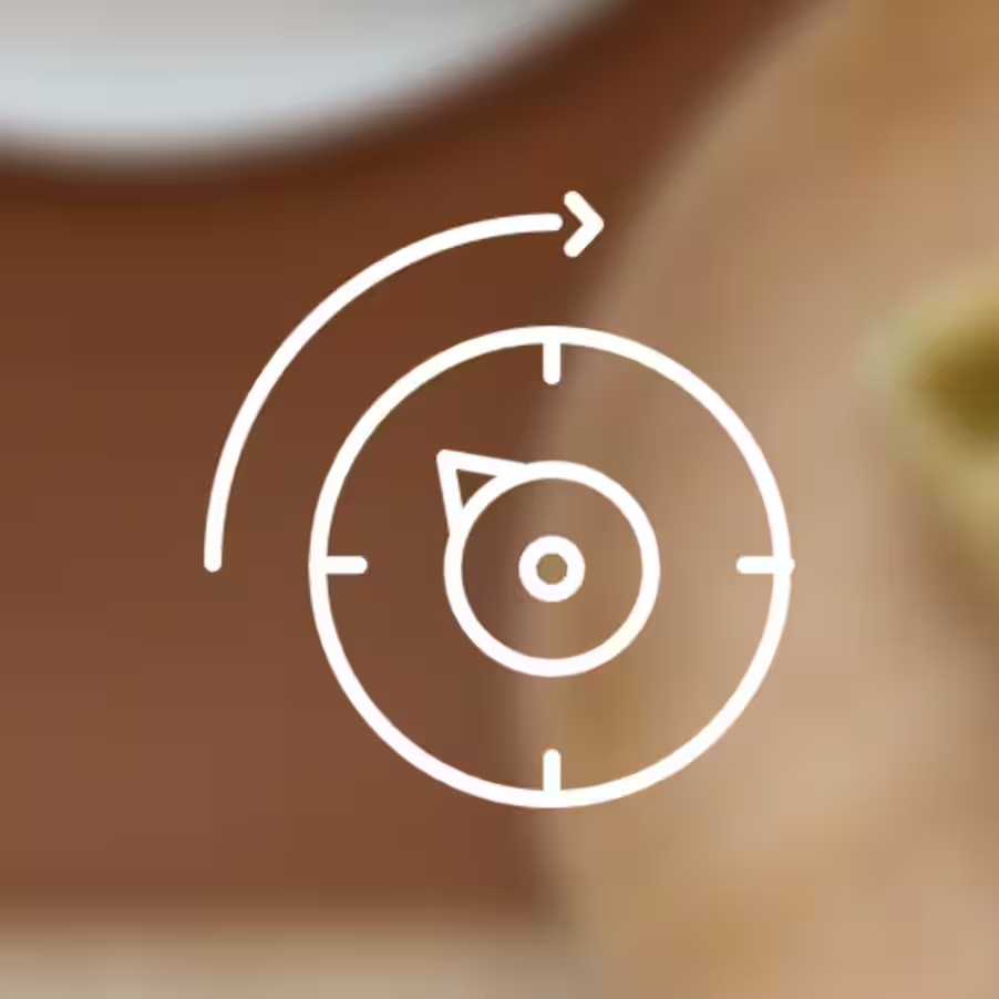 Interruptores ajustables