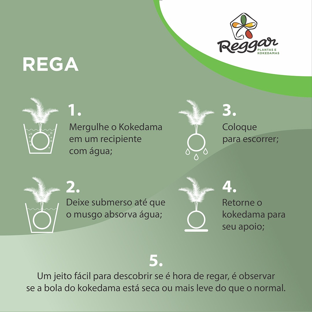 cuidados-kokedama-3