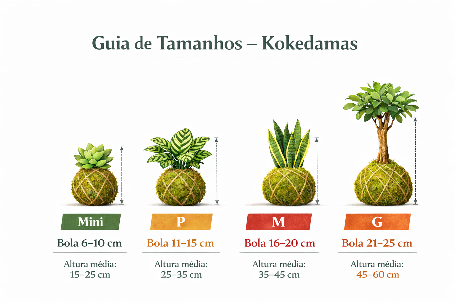 Guia de tamanho de kokedamas - Reggar