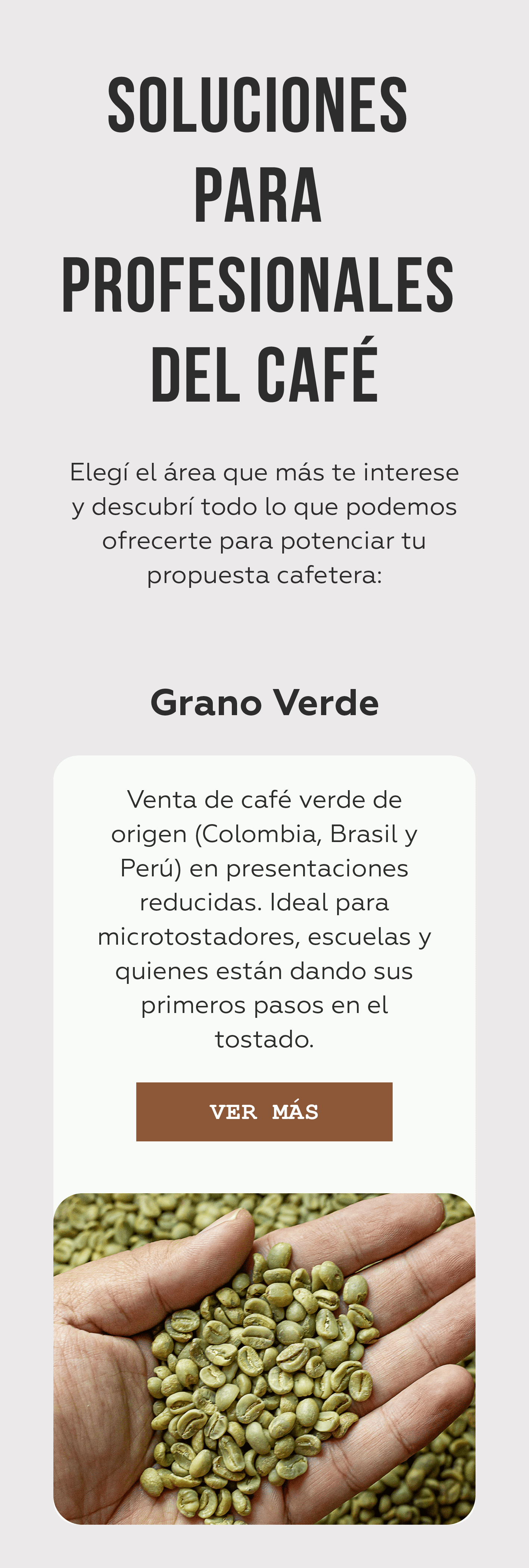 Imagen Mobile 1