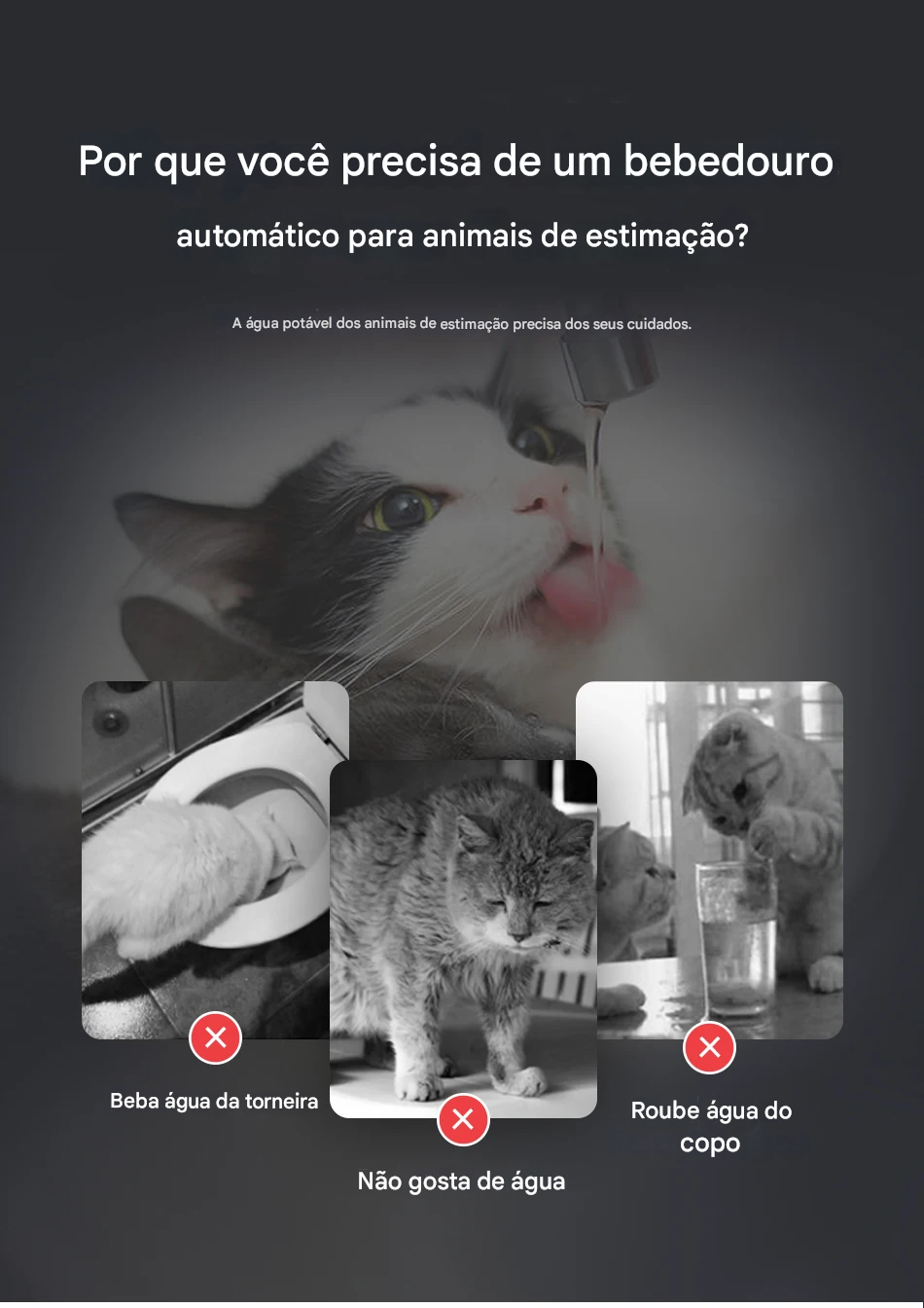 Design minimalista da Rojeeco em bancada