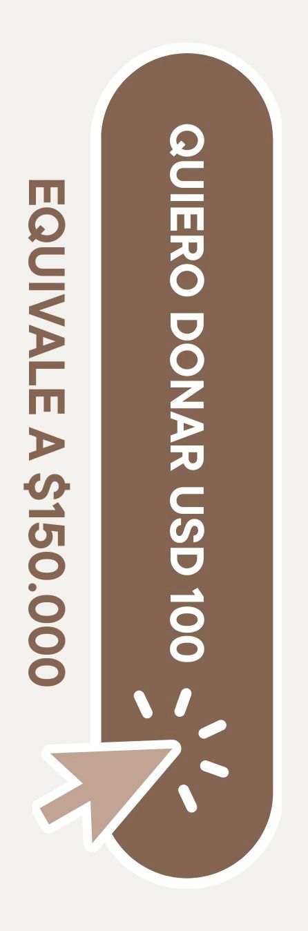 Donar USD 100