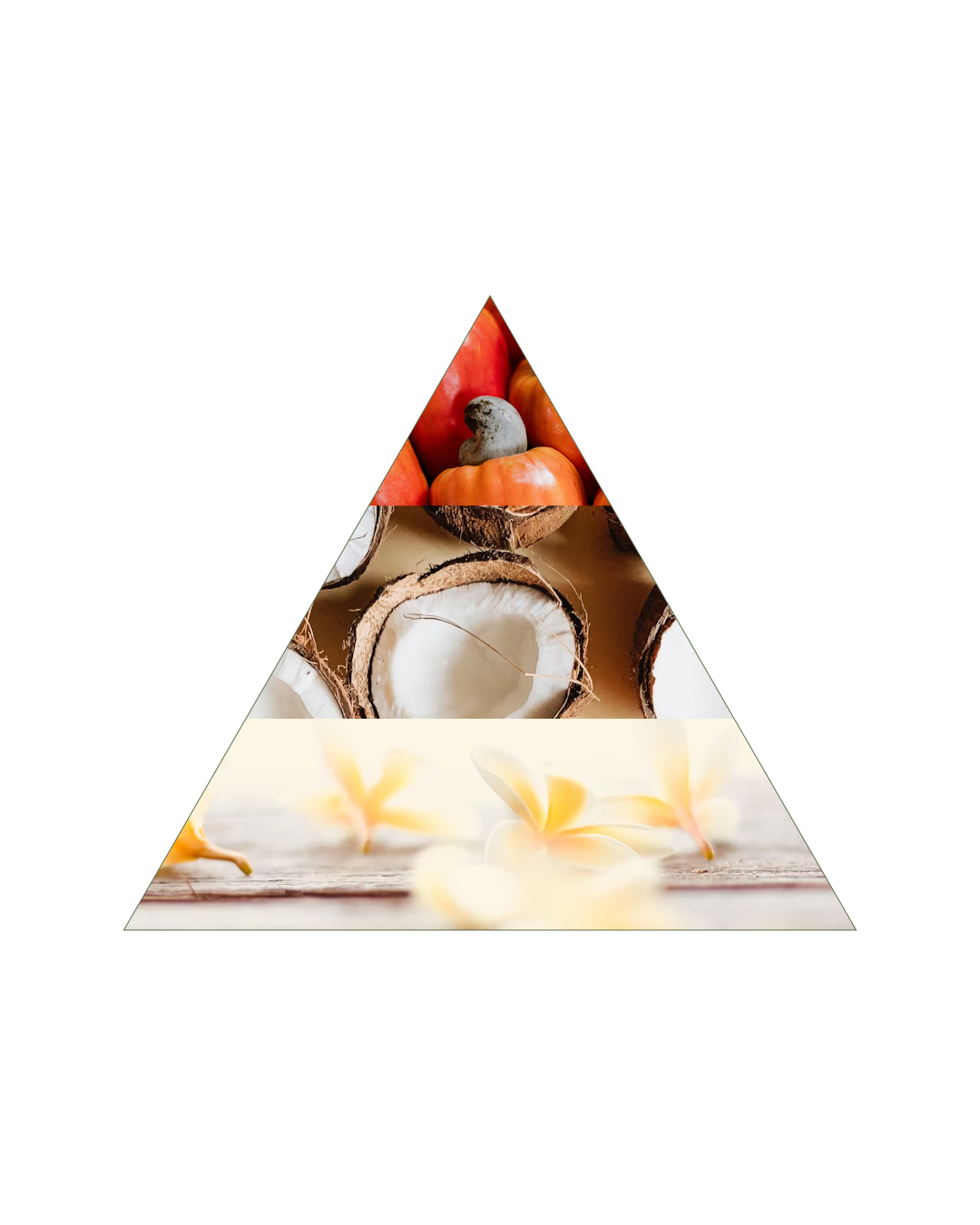 Pirâmide olfativa Caju e Água de Coco Jordanie: notas de saída caju e água de coco; notas de corpo coco, rosa e ciclamen; notas de fundo vanilla