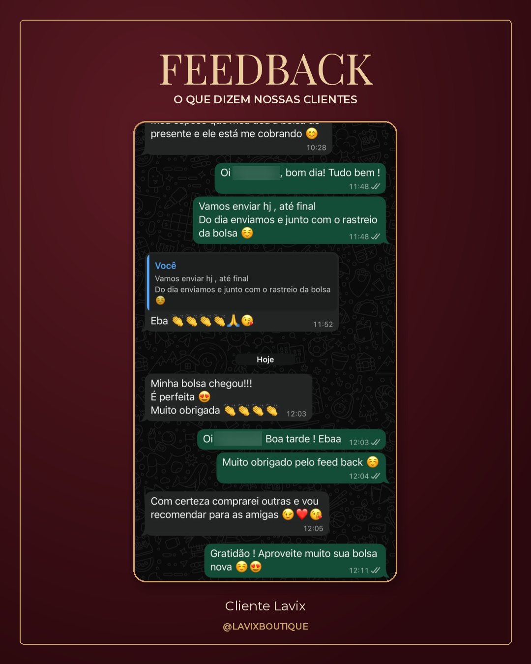 Feedback real de cliente Lavix 6
