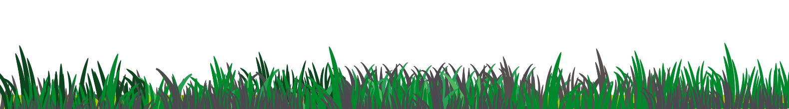 Somos Tienda Florencia