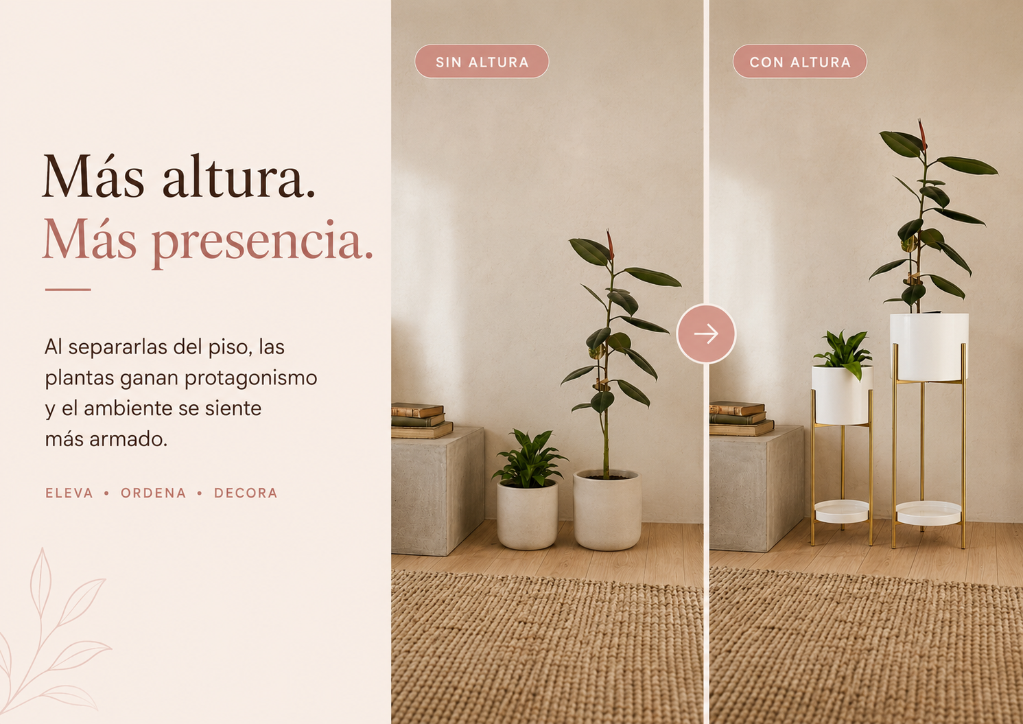M&aacute;s altura, m&aacute;s presencia - comparaci&oacute;n sin altura y con altura