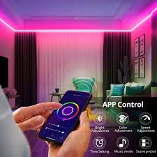 Tuya Smart Life WiFi RGB Neon Fita LED Controle De Aplicação De Luz Alexa  Google Home DC12V Para Iluminação Doméstica Pátio De Decoração De Jardim |  Shopee Brasil