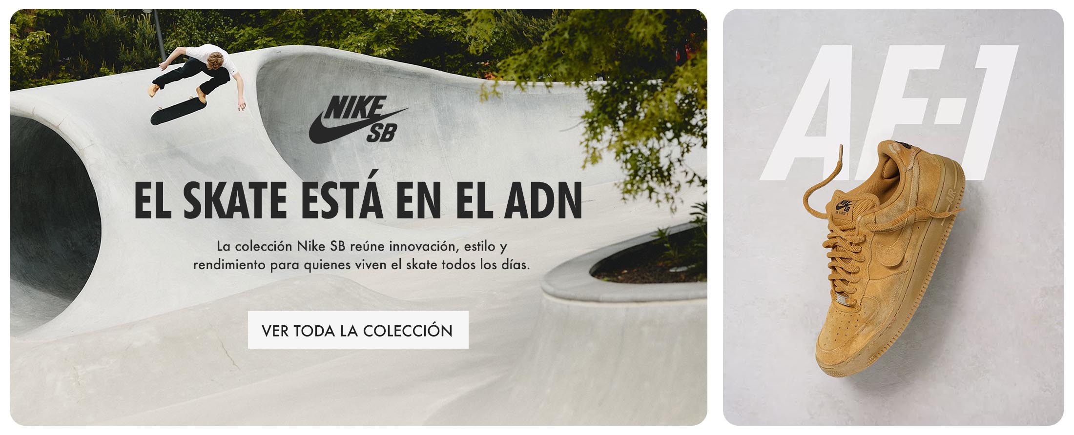 Nike SB