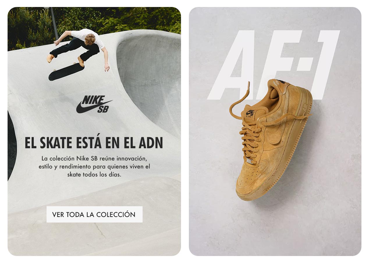 Nike SB