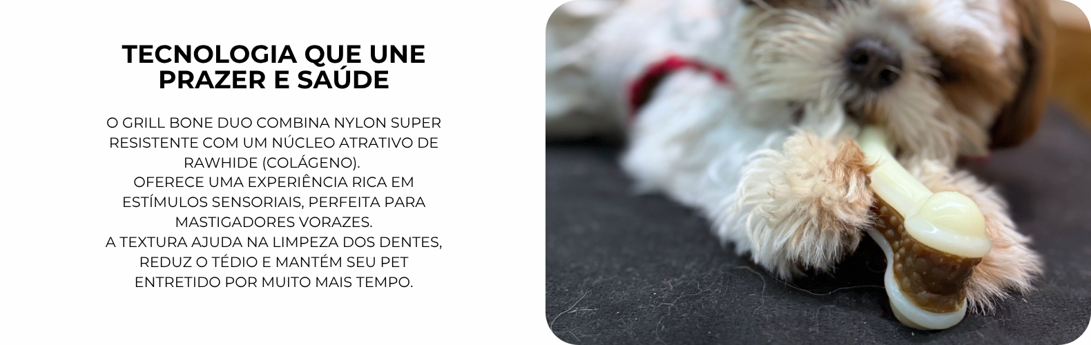 Grill bone churrasco mordedor para cães