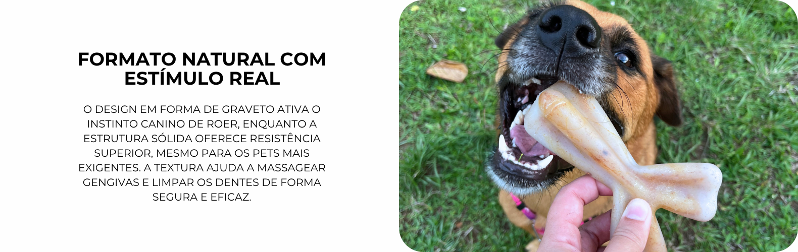mordedor vita bone graveto chefe - mordedor para cachorro