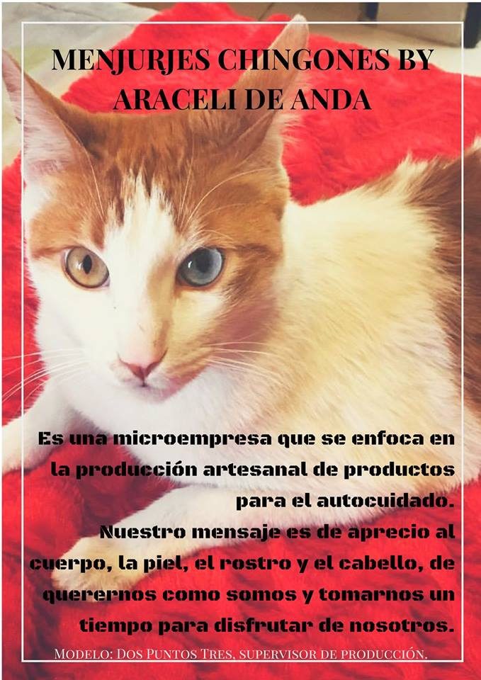 Quienes somos