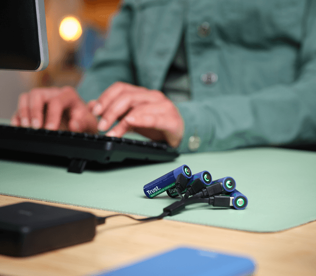 Pila Trust AA 1700mAh